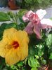 20160612_092111