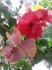 20160612_091725