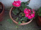 IMGP9806