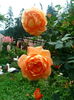 IMG_20160612_120752