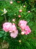 IMG_20160611_124836