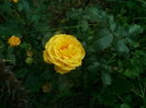 IMG_20160607_080453