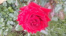 IMG_20160612_115210