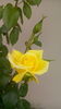 IMG_20160612_115155