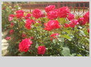 DSCN0065[1]