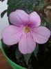 20160612_160054