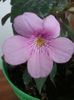20160612_160056