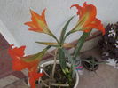 DSCN0092[1]