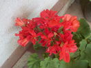DSCN0077[1]