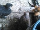 IMG_20160612_134037