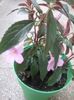 20160612_155754