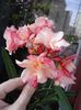 20160612_183019