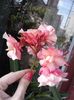 20160612_183022