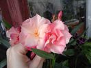 20160612_183118