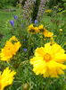DSC03971