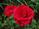 DSC07740