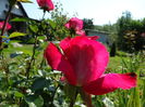 DSC03882