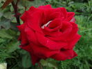 DSC07588
