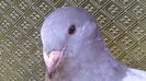 IMG_20160611_141316