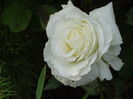 DSC07640