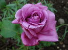 DSC07592