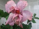 20160612_091504