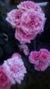 WP_20160609_21_44_20_Pro
