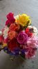 WP_20160612_10_19_14_Pro