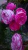 WP_20160609_21_36_15_Pro