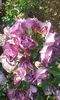 20160612_115604