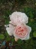 20160612_143509