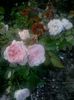 20160610_202730
