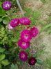 20160611_122940