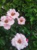 20160611_130759