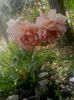 20160611_145350