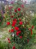 20160611_170054