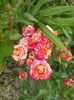 20160611_170209