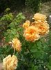 20160611_170310