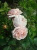 20160611_170443