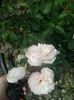 20160611_170548