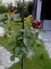 20160611_190252