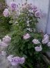 20160611_190753