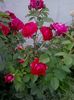 20160611_190906