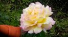 WP_20160607_17_07_43_Pro