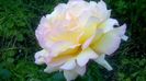 WP_20160608_07_22_33_Pro
