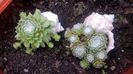 WP_20160526_18_31_47_Pro