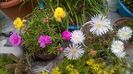 WP_20160609_11_43_03_Pro