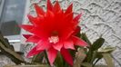 WP_20160609_16_48_35_Pro