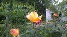 WP_20160613_12_50_56_Pro