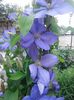 20160612_172210